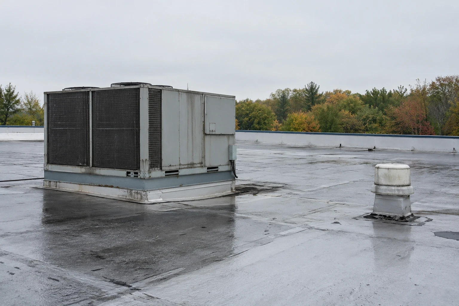 School Roofing in Athens, GA